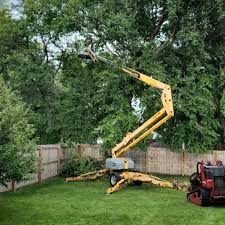 Seasonal Cleanup (Spring/Fall) in Stanwood, WA